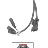 Harness, Breakout | International